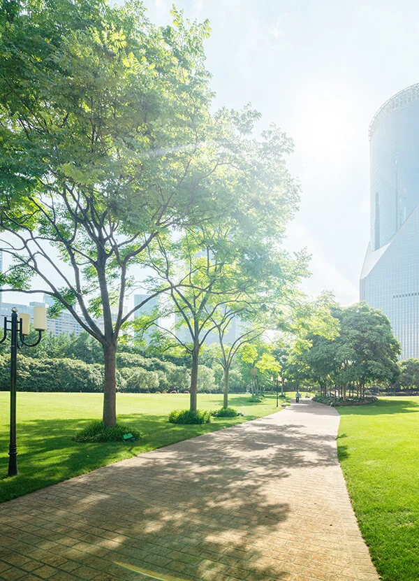 beautiful-city-park-buildings city park buildings